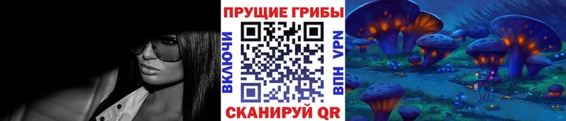 Галлюциногенные грибы ЛСД  магазин    Моршанск 